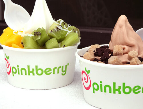 5 Reasons Pinkberry Can Be a Perfect Family Franchise