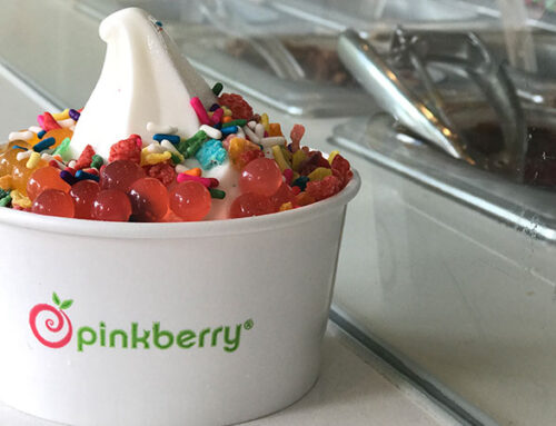 Start Your New Year with a Pinkberry Franchise