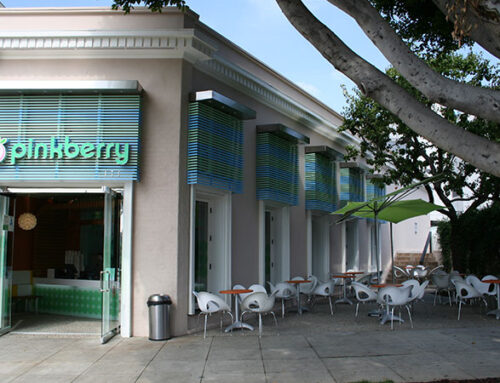 Give Yourself the Gift of Business Ownership with a Pinkberry Franchise